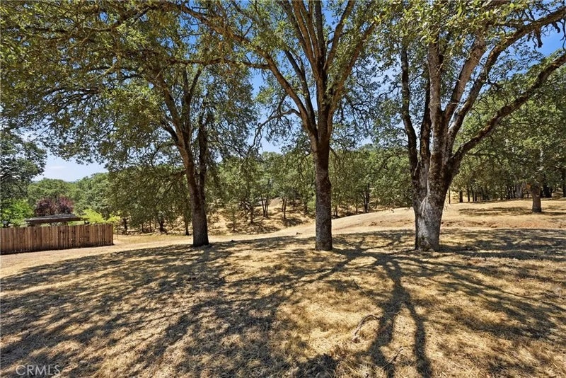 19531 Park Ridge