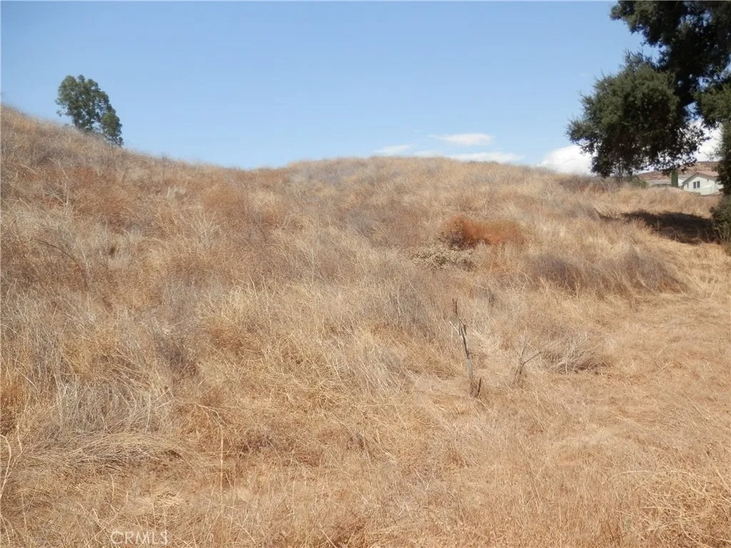 0 Acacia