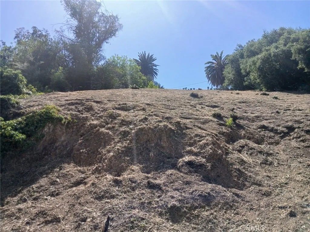Photo of 1087 Oneonta, Los Angeles, CA 90065 (MLS # WS25241229)