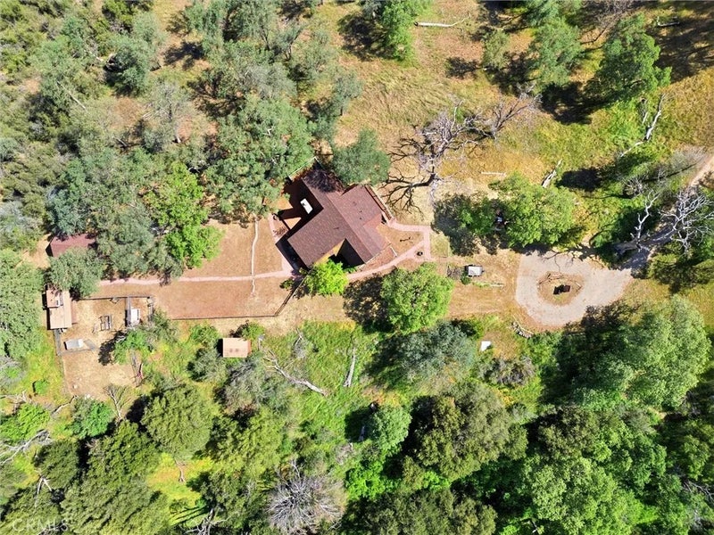 24300 Woodbine Court