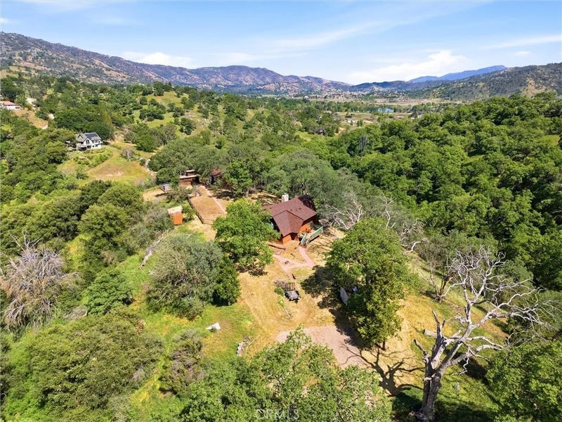 24300 Woodbine Court
