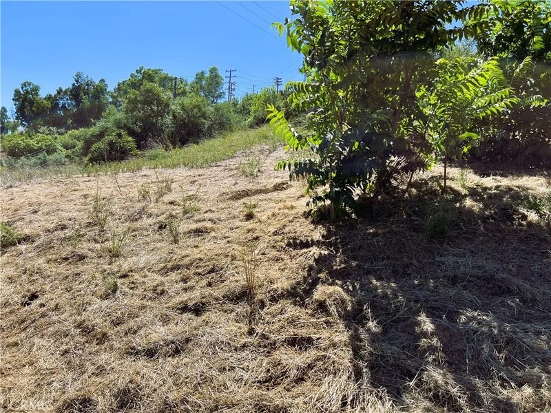 0 Latigo Canyon Rd