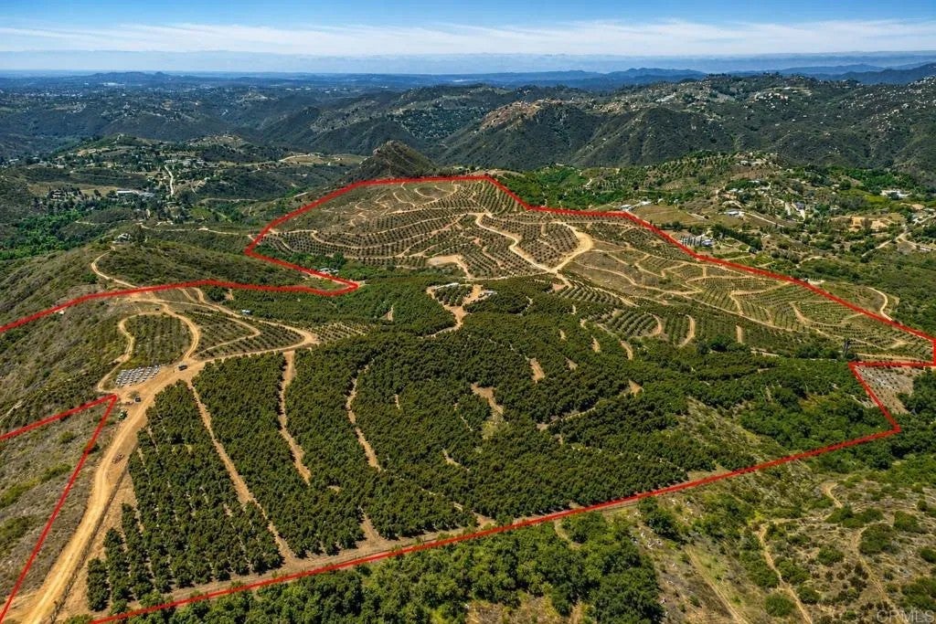 45000 Rancho Fallbrook