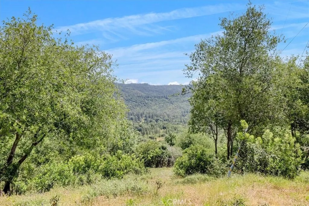 23 Clark Ranch