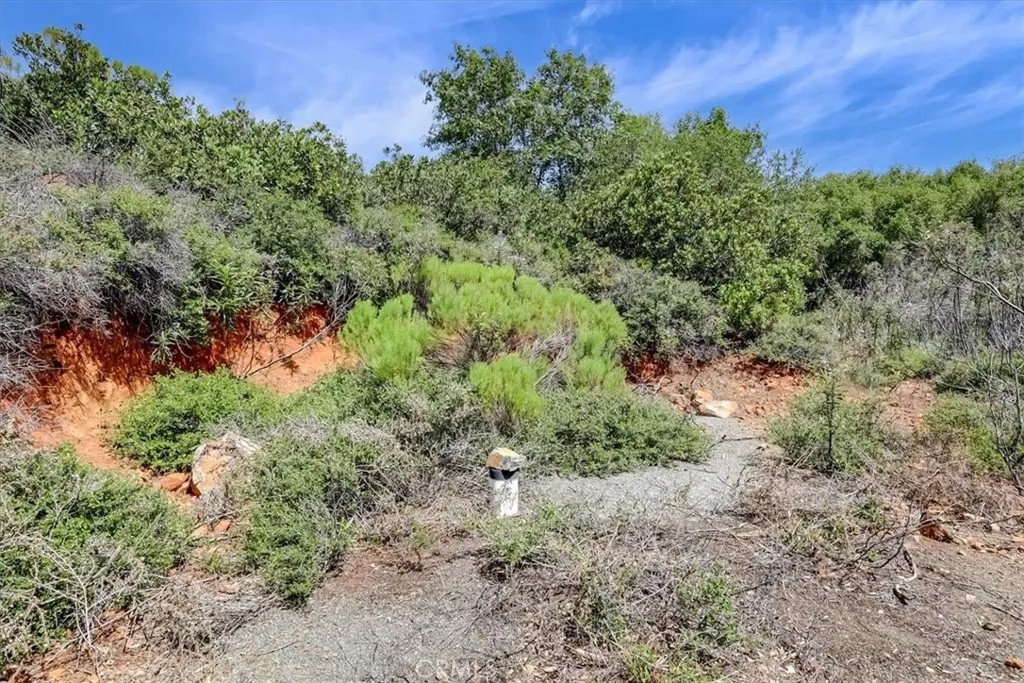 23 Clark Ranch