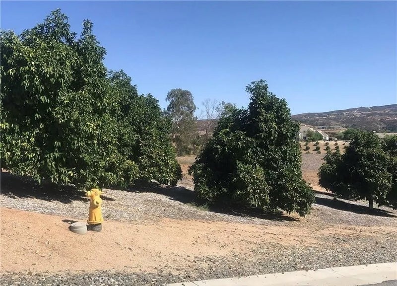 38538 Martin Ranch