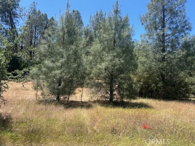 0 Coalinga