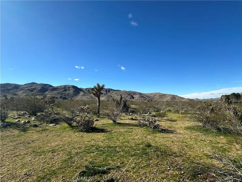 0 Cahuilla