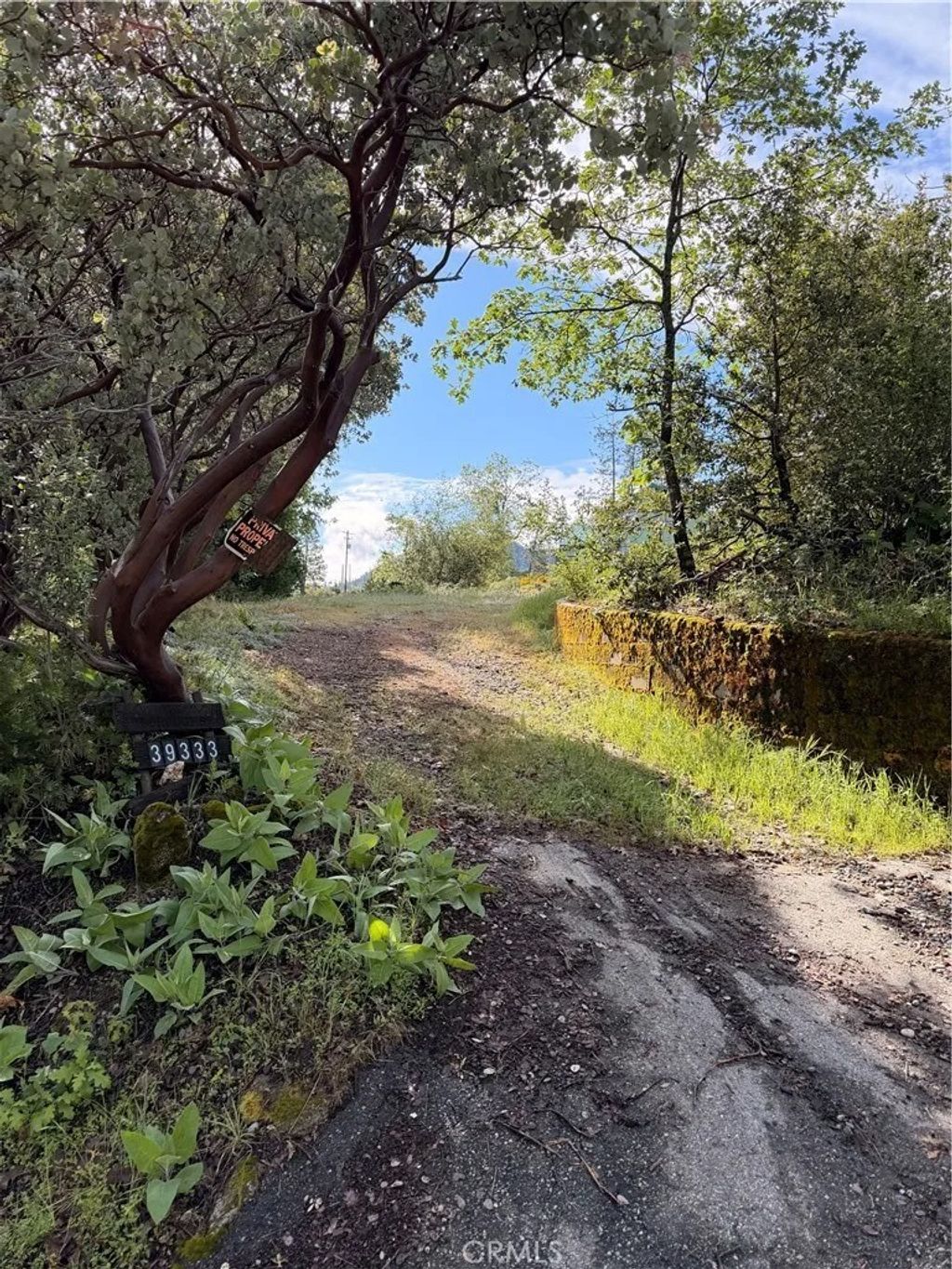 Photo of 39333 Manzanita Dr, Oakhurst, CA 93644 (MLS # MP26078765)