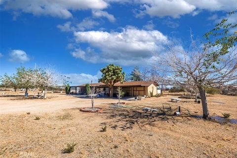 Tiny photo for 1495 Alta Avenue, Yucca Valley, CA 92284 (MLS # PW25252265)