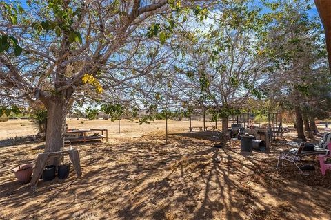 Tiny photo for 1495 Alta Avenue, Yucca Valley, CA 92284 (MLS # PW25252265)