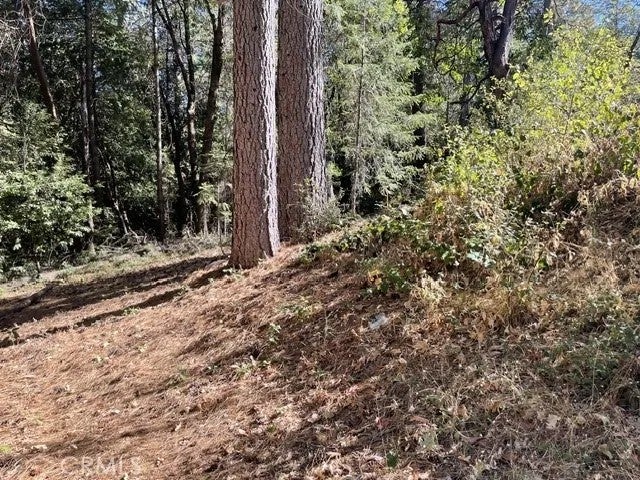 Photo of 114 Old Forbestown Rd, Forbestown, CA 95966 (MLS # OR26223934)