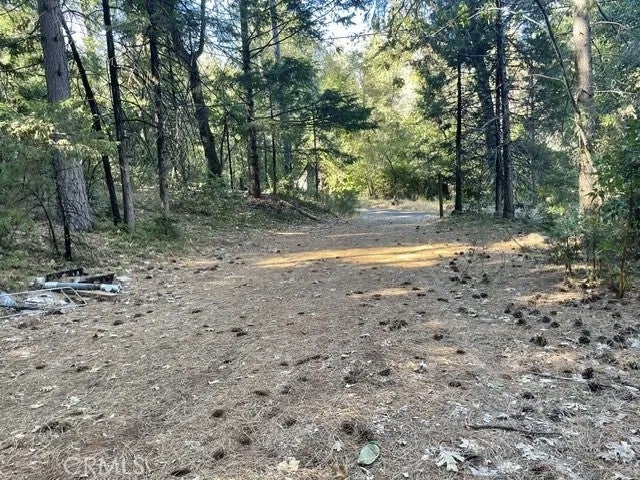 Photo of 114 Old Forbestown Rd, Forbestown, CA 95966 (MLS # OR26223934)