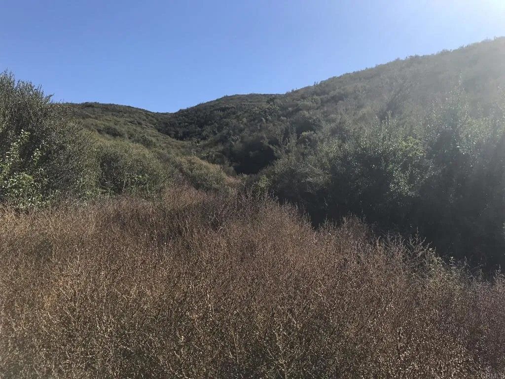 Photo of Vista Colina, San Marcos, CA 92078 (MLS # NDP2508571)