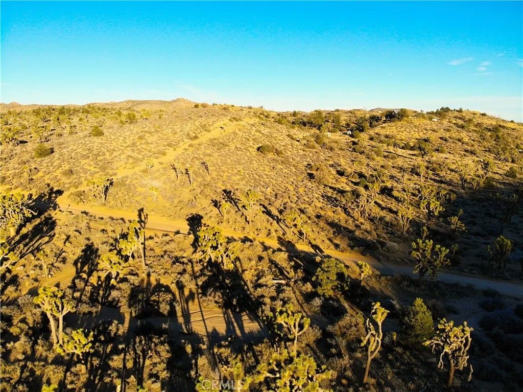 Photo of 1531 Orion, Pioneertown, CA 92268 (MLS # JT26001415)