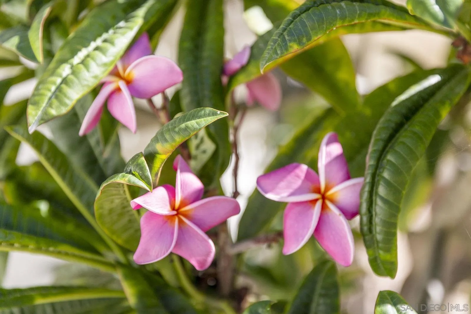 38795 Harris Truck Trail