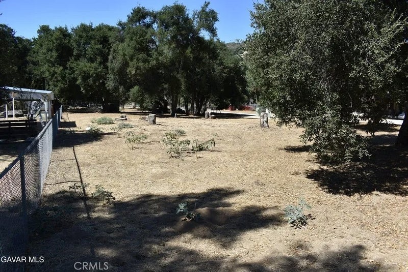 15206 punky Canyon & Calle El Bosque