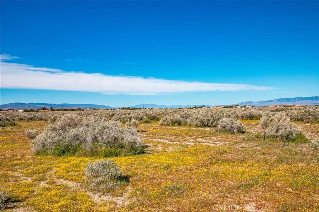 Photo of 0 Avenue C-8, Antelope Acres, CA 93536 (MLS # SW26042889)