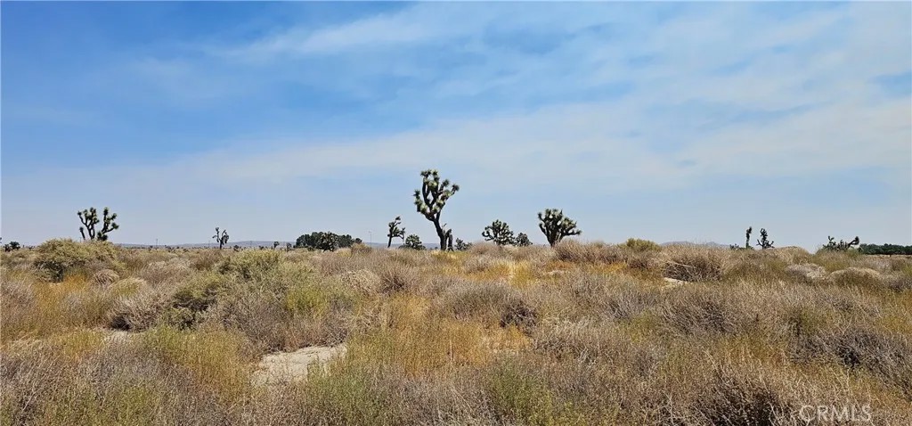 90 E Avenue I