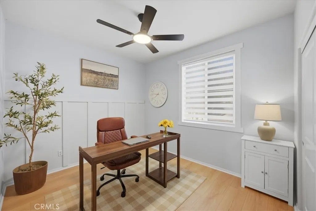 29161 Dune Primrose