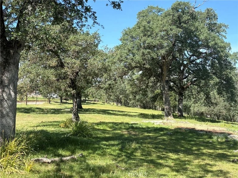 3465 Foothill
