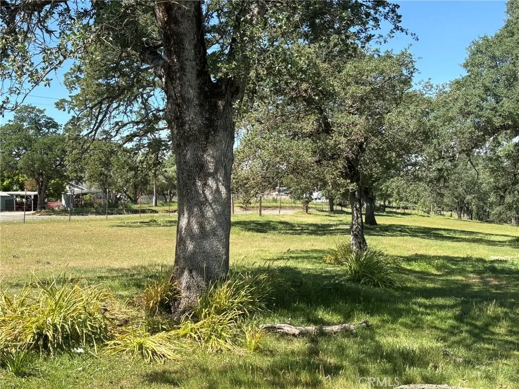 3465 Foothill