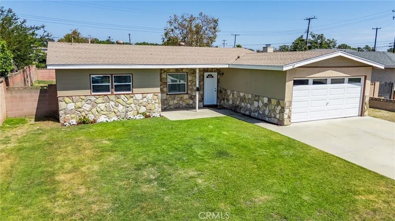 2309 Spinnaker