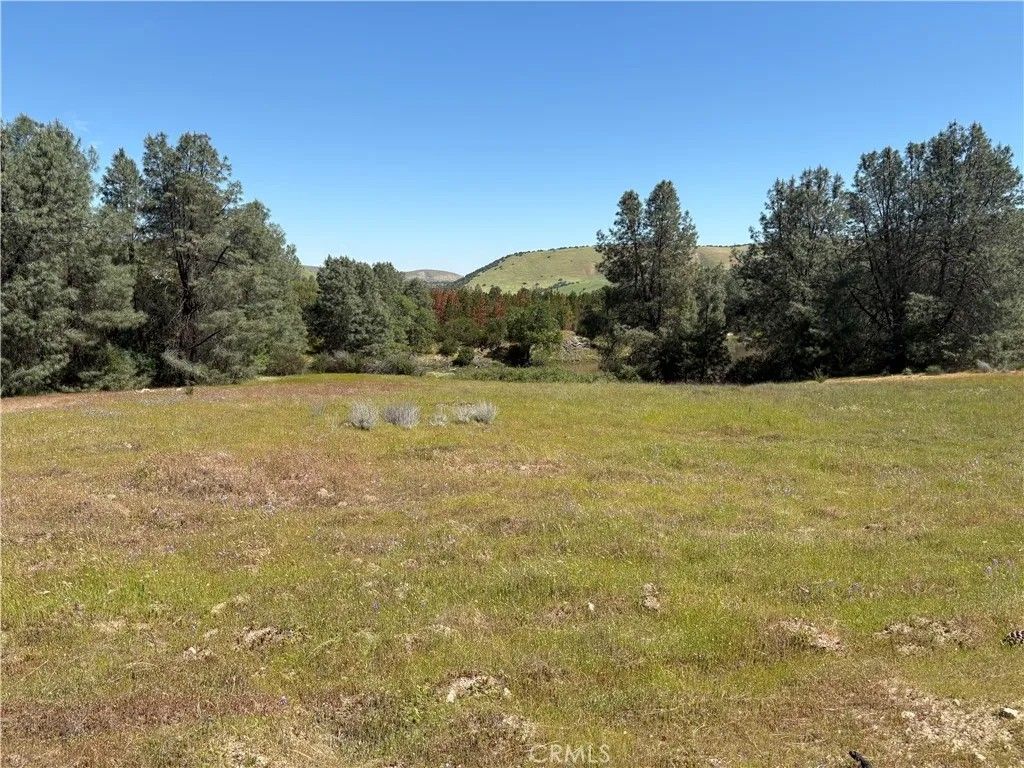 Photo of 705 Calf Canyon, Creston, CA 93432 (MLS # NS26068125)