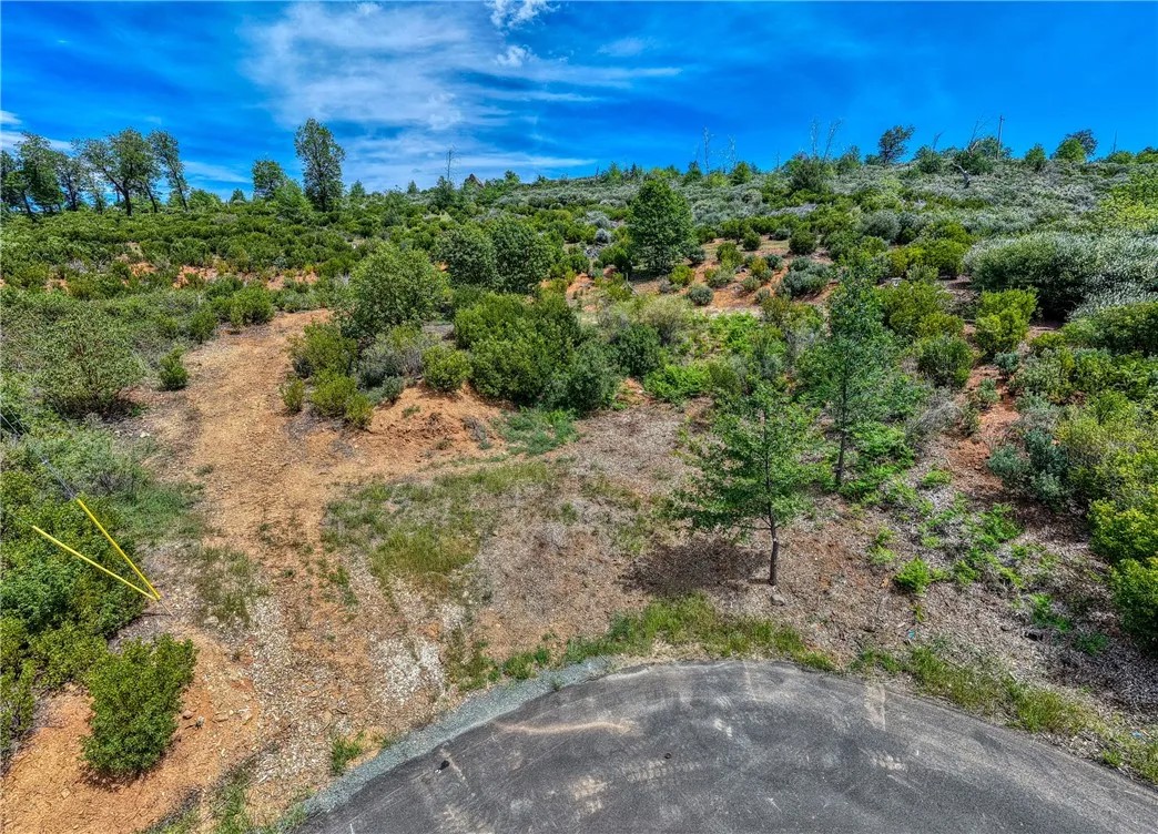 9738 Hoberg East