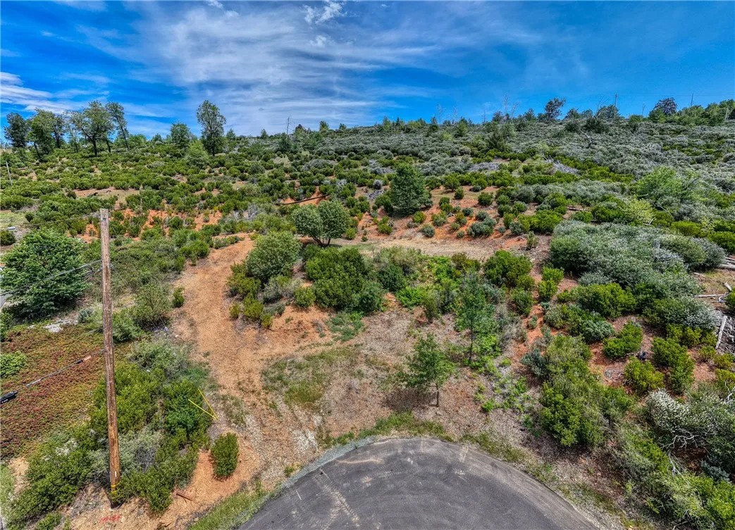 9738 Hoberg East