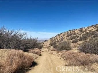 Photo of 0 Dry Creek, Pinon Hills, CA 92372 (MLS # HD26148668)