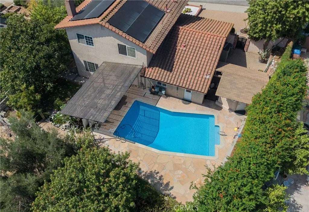 2122 Weeping Willow