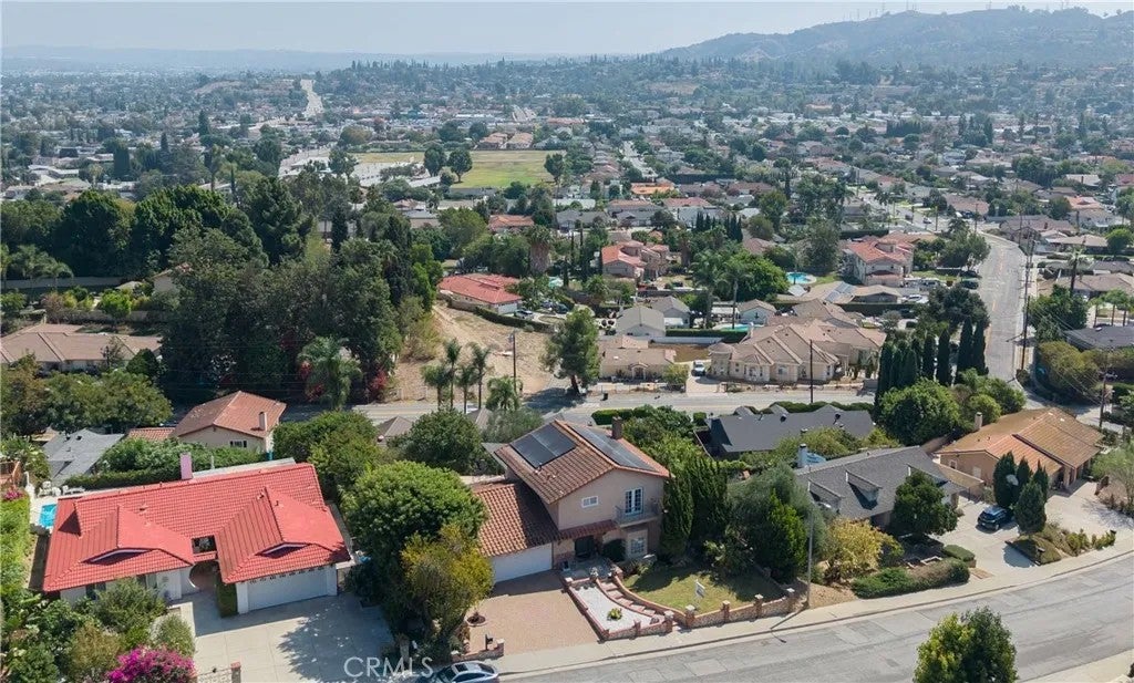 2122 Weeping Willow