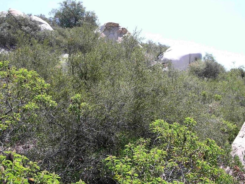 Welcome View