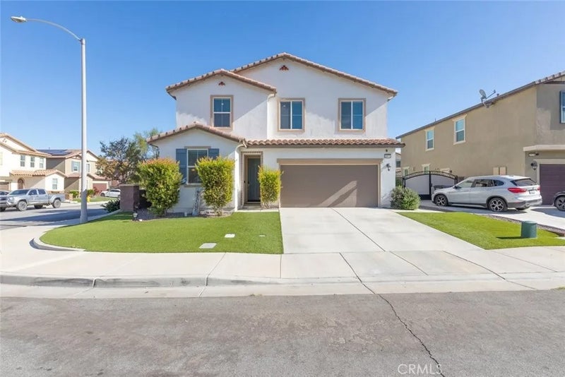 29138 Needle Grass