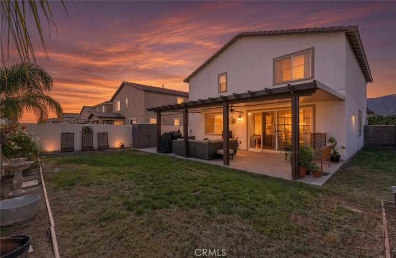 29138 Needle Grass