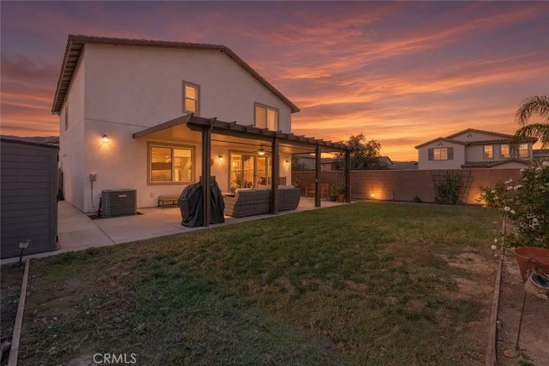 29138 Needle Grass