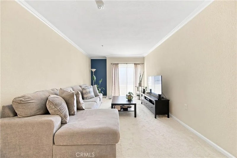 838 Pine 515