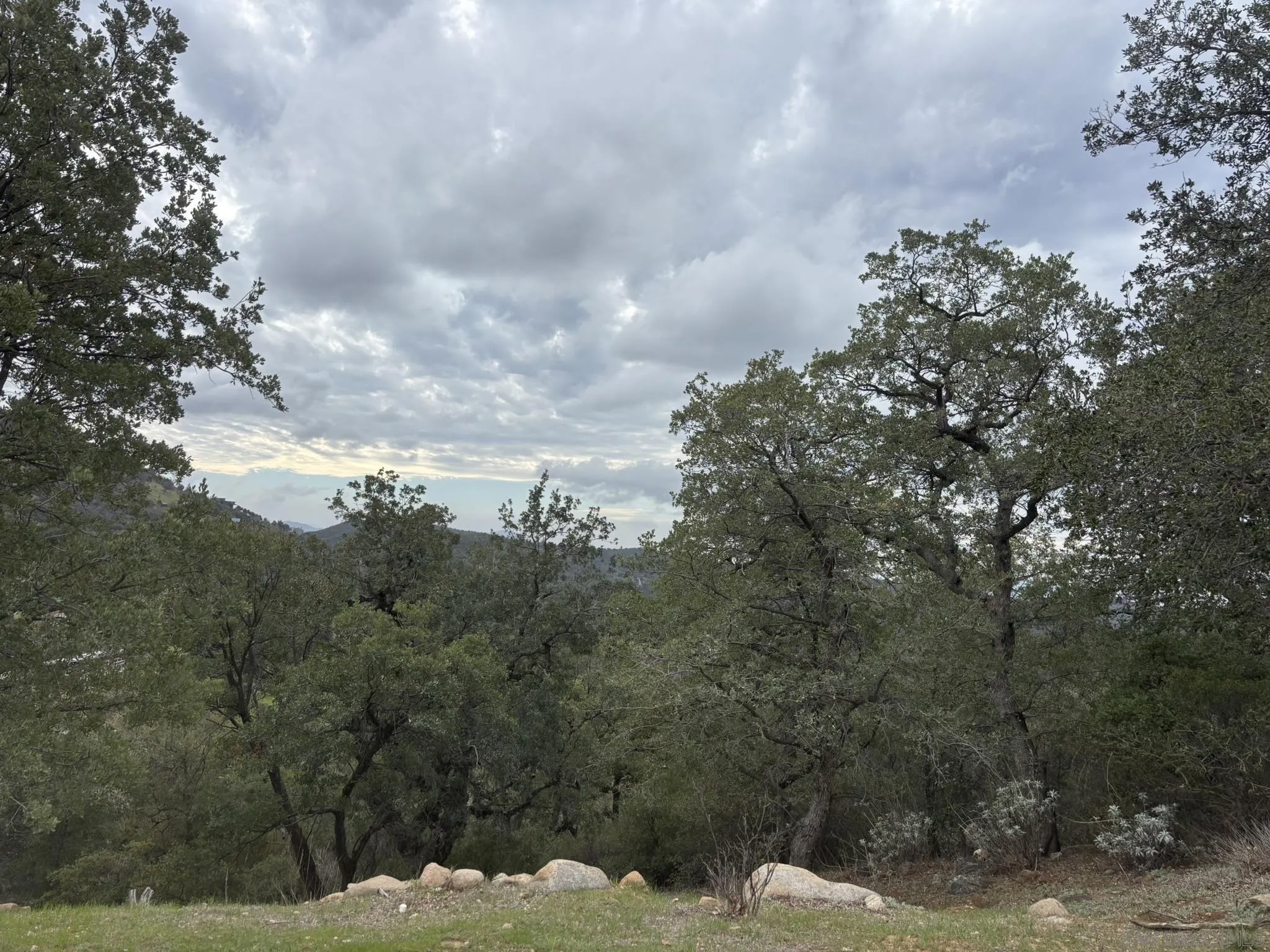 7317 Starlight Way 0