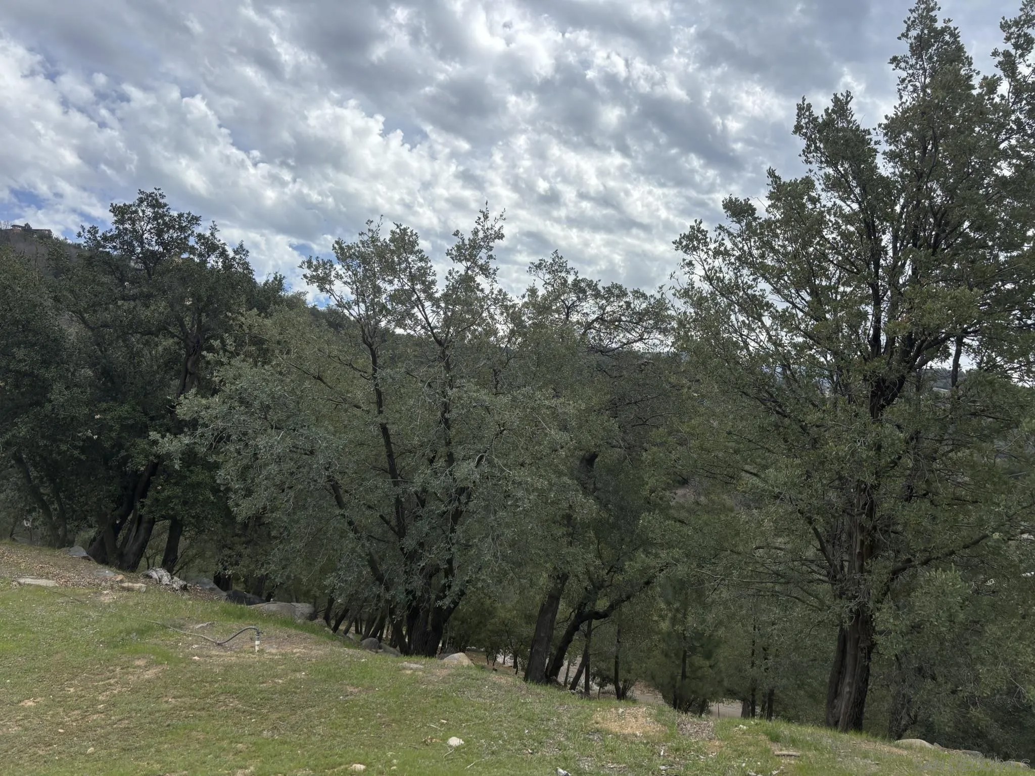 7317 Starlight Way 0