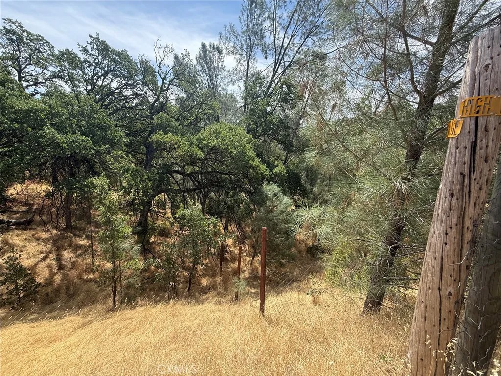 16295 Hillcrest
