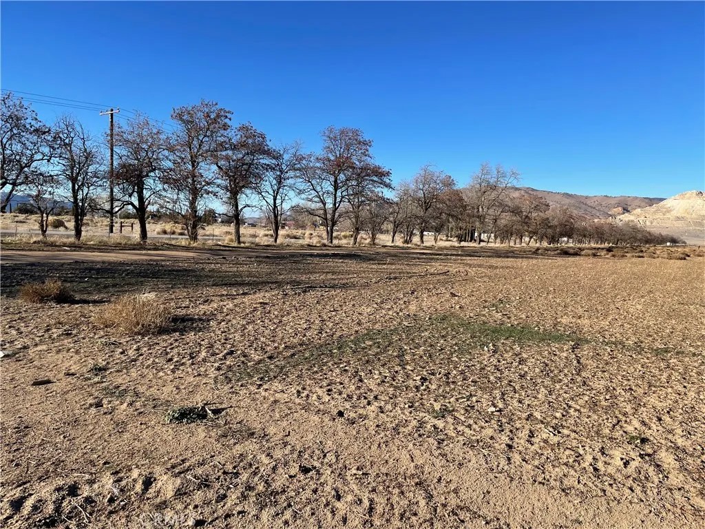 20028 Tehachapi Willow Springs Rd