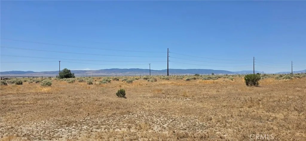 0 Rosamond