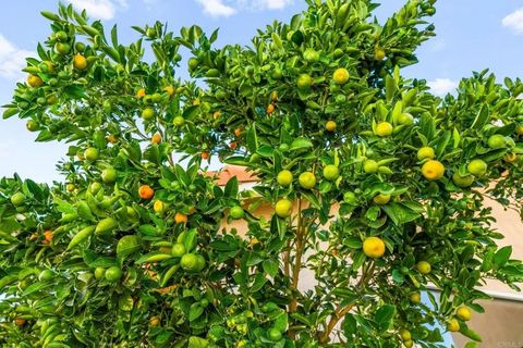 Tiny photo for 23925 Constantine Dr, Murrieta, CA 92562 (MLS # PTP2508273)