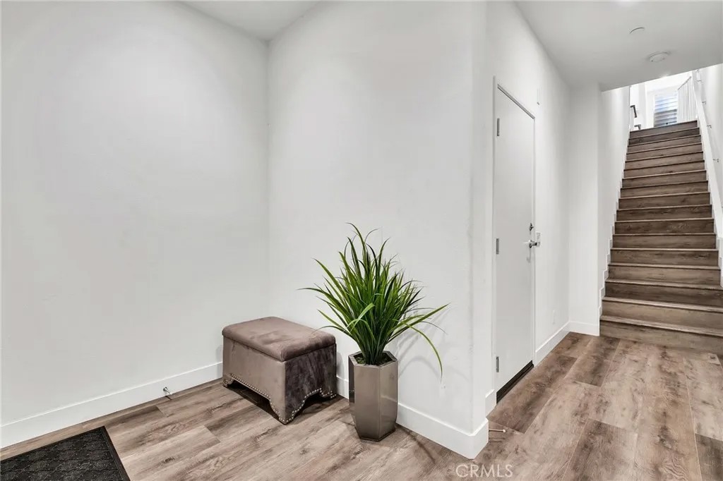 5919 Spring