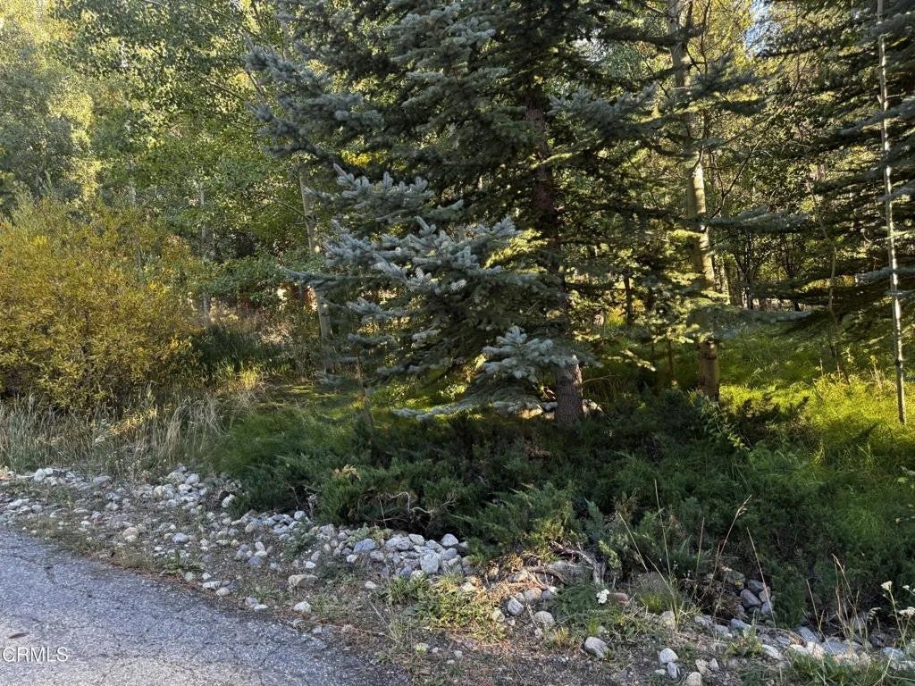 Photo of Minaret, CA 93529 (MLS # V1-38990)