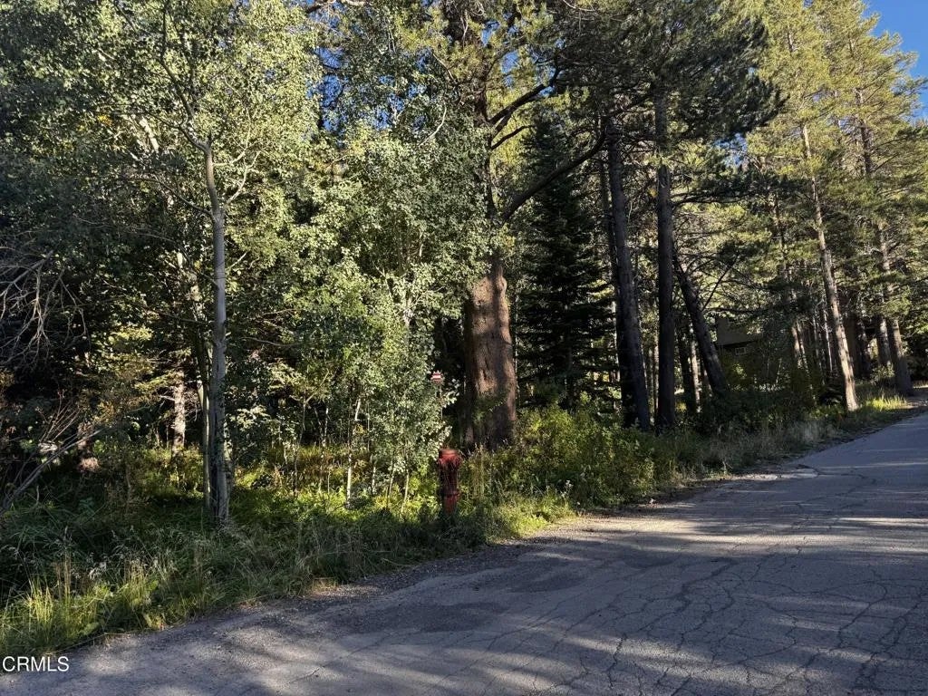 Photo of Minaret, CA 93529 (MLS # V1-38990)