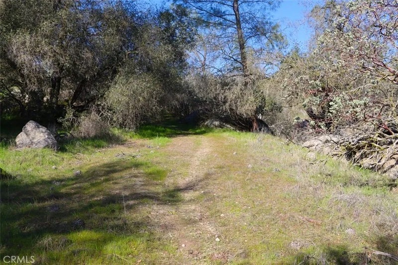 0 Long Hollow