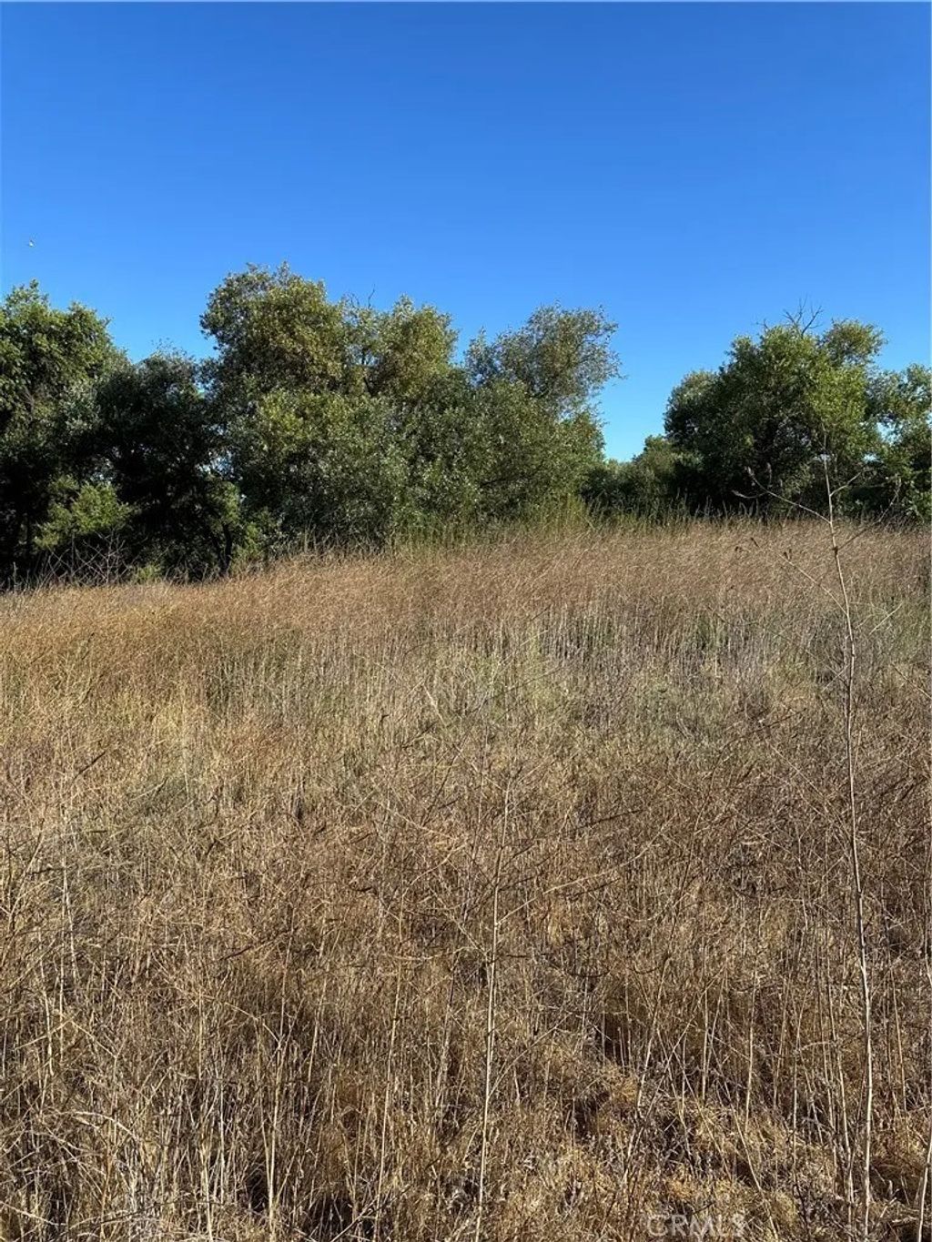 Photo of 0 Mazoe, Winchester, CA 92596 (MLS # SW26013175)