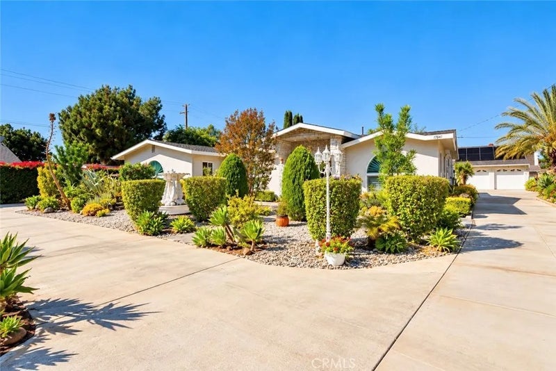 17841 Collins
